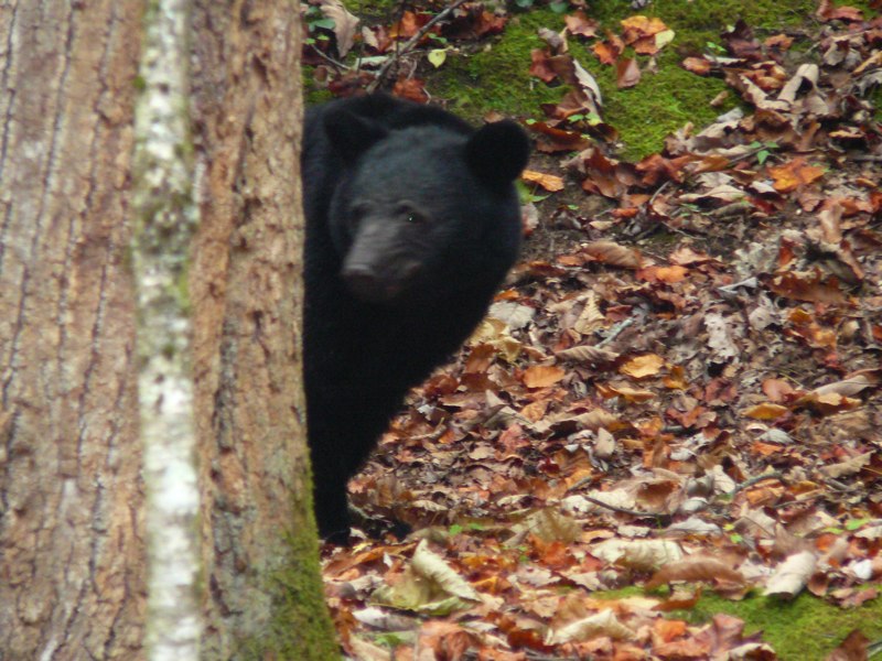 image09